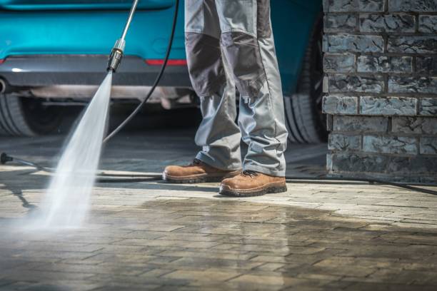 Best Soft Washing  in La Puente, CA